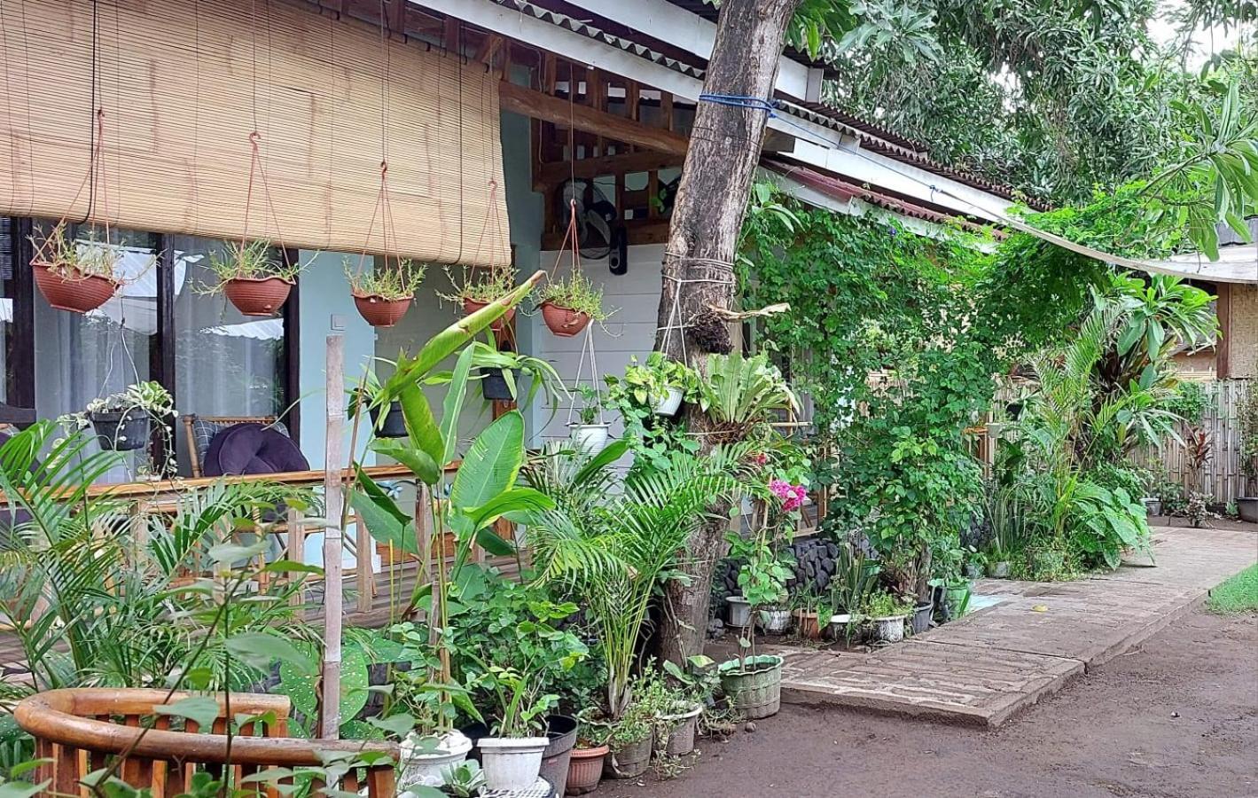 Marta House Gili Air Hotell Exteriör bild