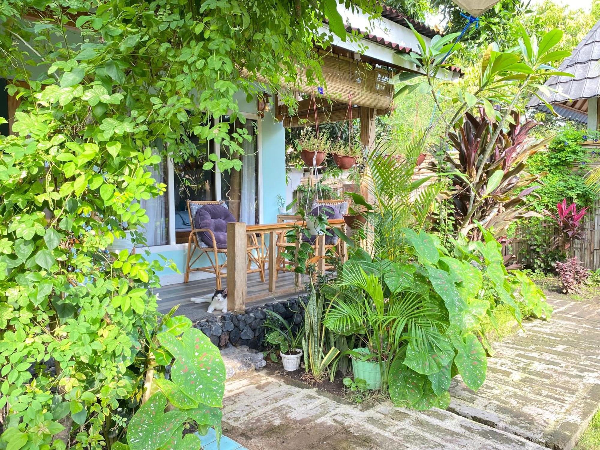Marta House Gili Air Hotell Exteriör bild
